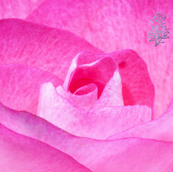 Die Liebe in dir