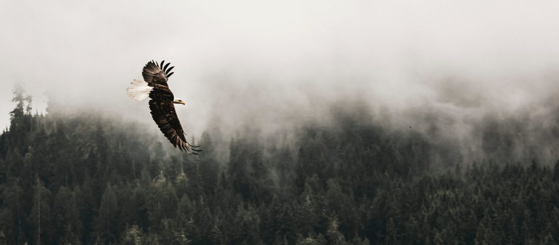 kea-mowat-fM2aOezzEoQ-unsplash